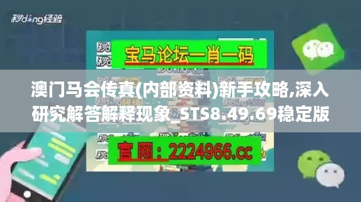 2024年11月17日 第39页