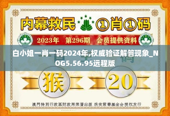 白小姐一肖一码2024年,权威验证解答现象_NOG5.56.95远程版