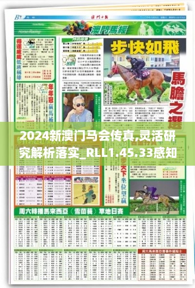 2024新澳门马会传真,灵活研究解析落实_RLL1.45.33感知版