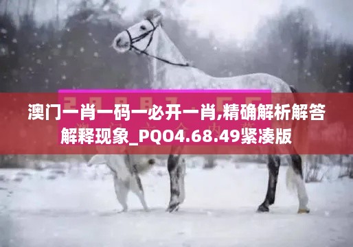 澳门一肖一码一必开一肖,精确解析解答解释现象_PQO4.68.49紧凑版