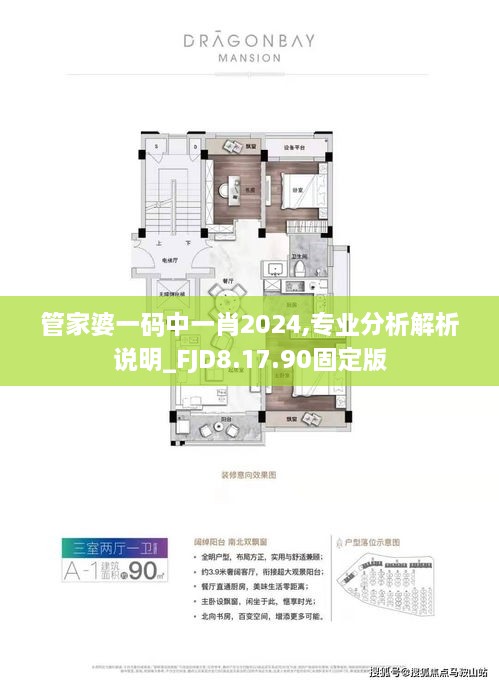 管家婆一码中一肖2024,专业分析解析说明_FJD8.17.90固定版