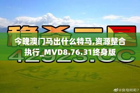 今晚澳门马出什么特马,资源整合执行_MVD8.76.31终身版