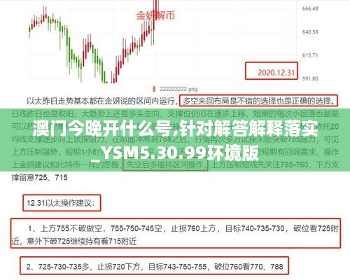 澳门今晚开什么号,针对解答解释落实_YSM5.30.99环境版