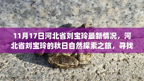 河北省刘宝玲秋日自然探索之旅，寻找内心的宁静与喜悦最新进展（11月17日）