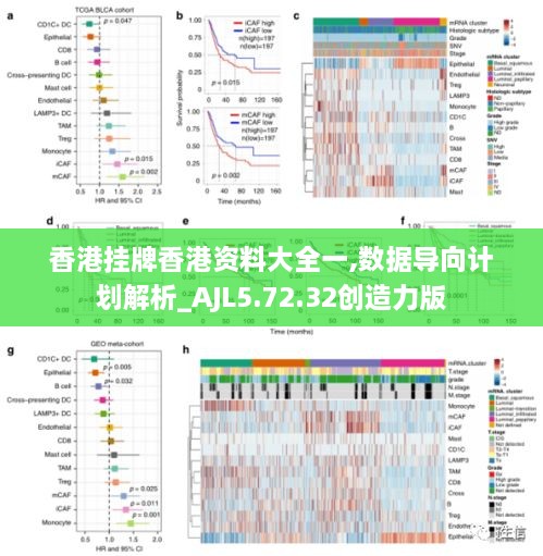 香港挂牌香港资料大全一,数据导向计划解析_AJL5.72.32创造力版