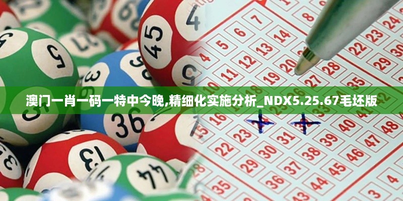 澳门一肖一码一特中今晚,精细化实施分析_NDX5.25.67毛坯版