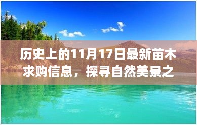 探寻自然美景之旅，历史上的日子与今日苗木求购信息交汇点