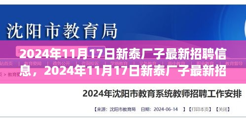 2024年11月17日新泰厂子最新招聘信息与职业发展机遇深度探索