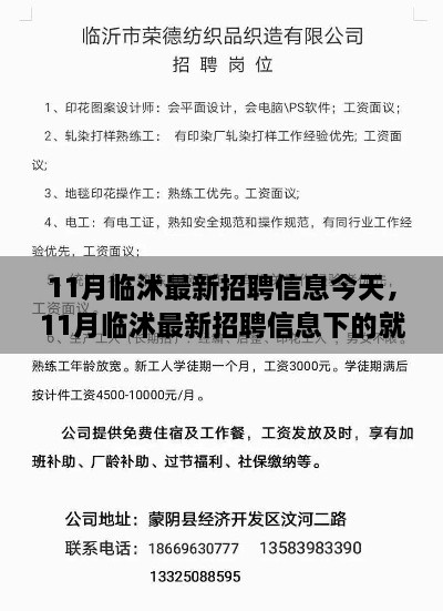 11月临沭最新招聘信息汇总，就业市场观察与个人选择