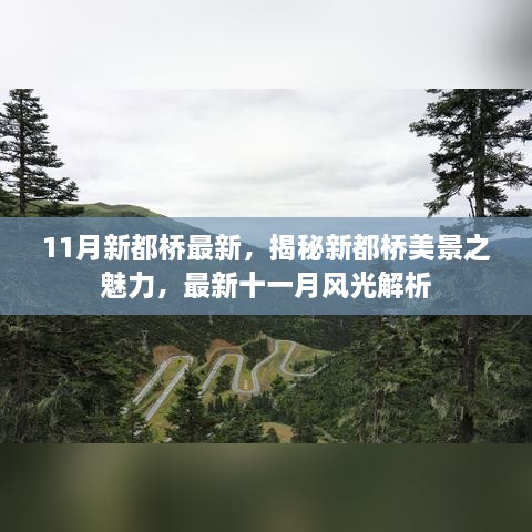 揭秘新都桥十一月美景之魅力，最新风光解析