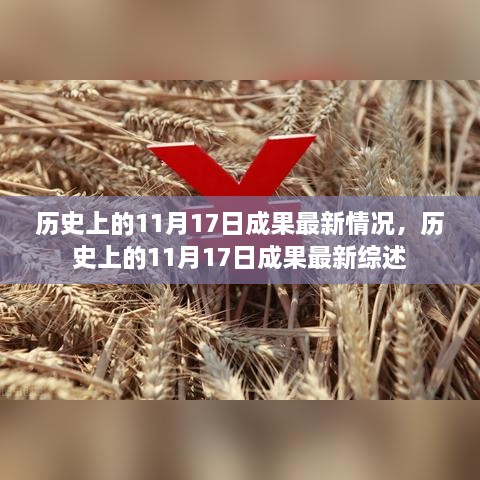 历史上的11月17日成果最新综述与进展报告