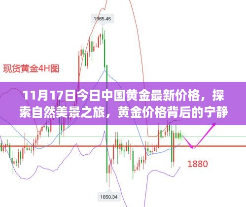 今日黄金价格揭秘，宁静力量背后的黄金旅程与探索自然美景之旅