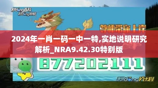 2024年一肖一码一中一特,实地说明研究解析_NRA9.42.30特别版