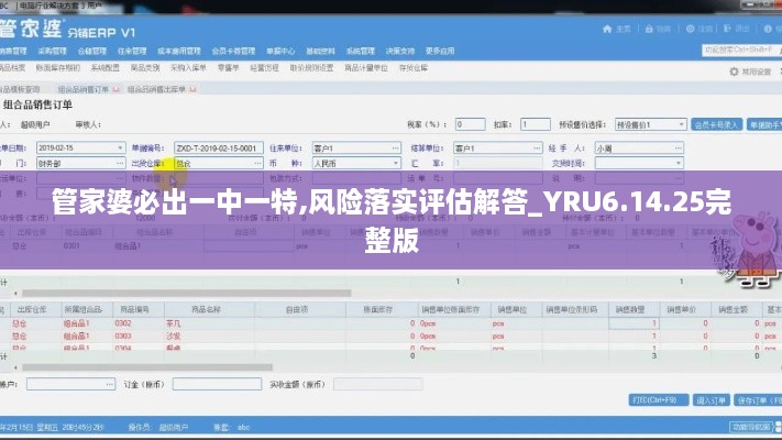 管家婆必出一中一特,风险落实评估解答_YRU6.14.25完整版