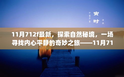 探索自然秘境，内心平静的奇妙之旅，11月新发现之旅