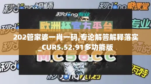 202管家婆一肖一码,专论解答解释落实_CUR5.52.91多功能版