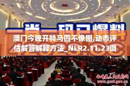 澳门今晚开特马四不像图,动态评估解答解释方法_NLR2.11.23调整版