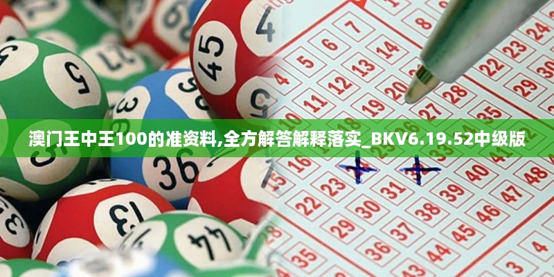 澳门王中王100的准资料,全方解答解释落实_BKV6.19.52中级版