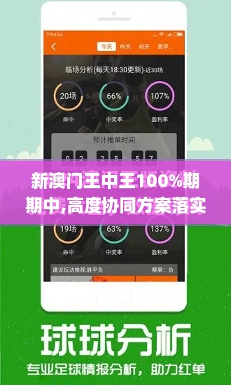 新澳门王中王100%期期中,高度协同方案落实_FBQ4.18.75原型版