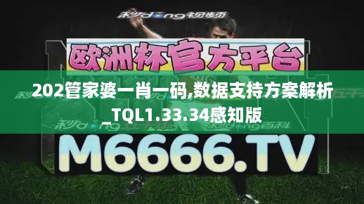 202管家婆一肖一码,数据支持方案解析_TQL1.33.34感知版