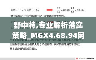 野中特,专业解析落实策略_MGX4.68.94网络版