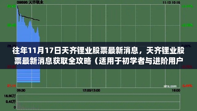 天齐锂业股票最新消息全攻略，初学者与进阶用户的获取指南（11月17日更新）