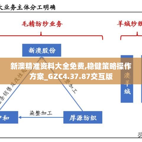 新澳精准资料大全免费,稳健策略操作方案_GZC4.37.87交互版