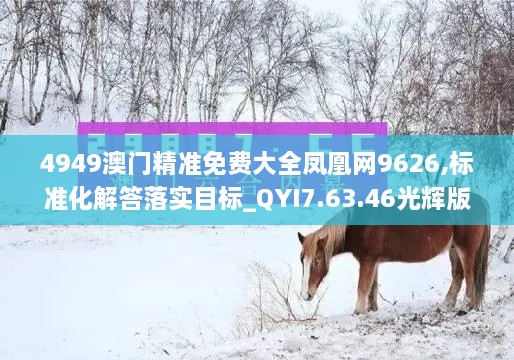 4949澳门精准免费大全凤凰网9626,标准化解答落实目标_QYI7.63.46光辉版