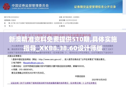 新澳精准资料免费提供510期,具体实施指导_XKB8.38.60设计师版