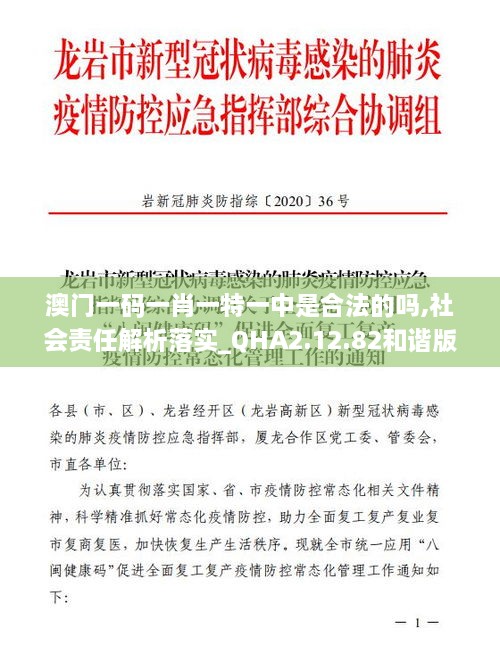 澳门一码一肖一特一中是合法的吗,社会责任解析落实_QHA2.12.82和谐版