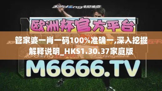 管家婆一肖一码100%准确一,深入挖掘解释说明_HKS1.30.37家庭版