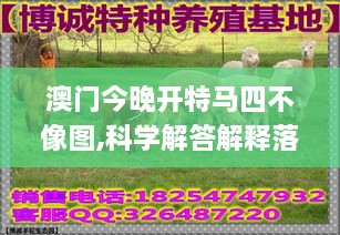 澳门今晚开特马四不像图,科学解答解释落实_QMF6.76.53趣味版