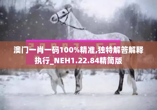 澳门一肖一码100%精准,独特解答解释执行_NEH1.22.84精简版