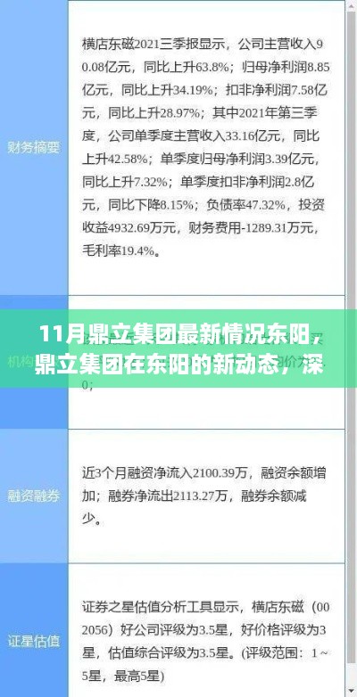 鼎立集团在东阳的新动态，深度分析与个人观点观察