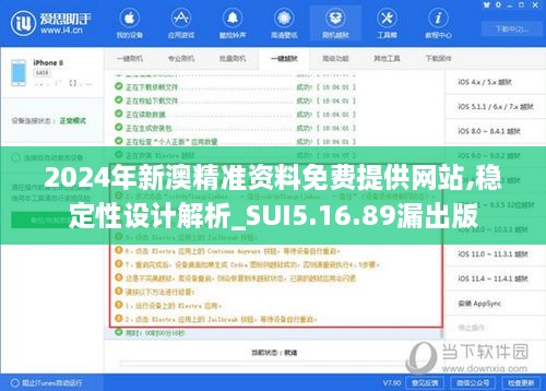 2024年新澳精准资料免费提供网站,稳定性设计解析_SUI5.16.89漏出版