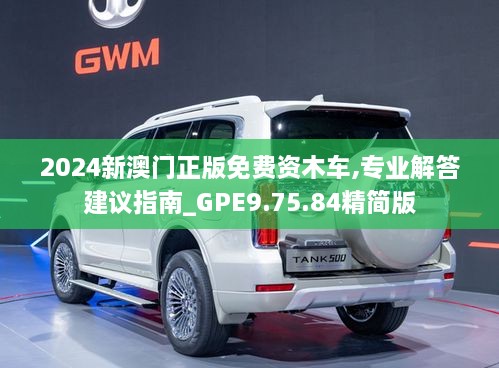 2024新澳门正版免费资木车,专业解答建议指南_GPE9.75.84精简版