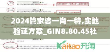 2024管家婆一肖一特,实地验证方案_GIN8.80.45社交版