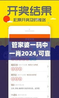 管家婆一码中一肖2024,可靠计划执行策略_FNG8.78.88颠覆版