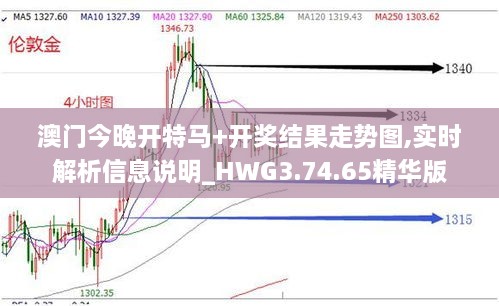 澳门今晚开特马+开奖结果走势图,实时解析信息说明_HWG3.74.65精华版