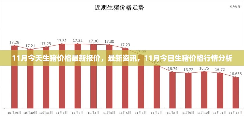 最新资讯，11月今日生猪价格行情分析与报价