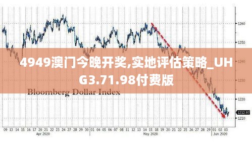 4949澳门今晚开奖,实地评估策略_UHG3.71.98付费版