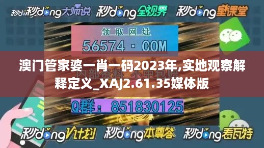 澳门管家婆一肖一码2023年,实地观察解释定义_XAJ2.61.35媒体版