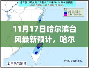 哈尔滨台风小插曲，温馨日常与最新预计报告