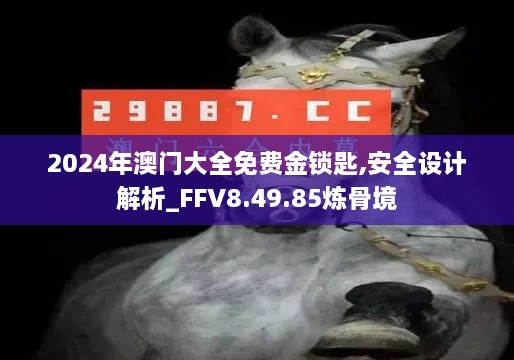 2024年澳门大全免费金锁匙,安全设计解析_FFV8.49.85炼骨境