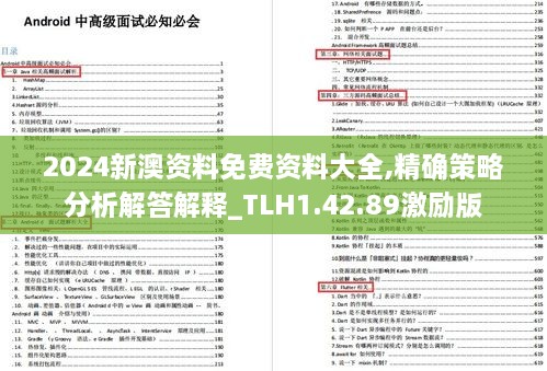 2024新澳资料免费资料大全,精确策略分析解答解释_TLH1.42.89激励版