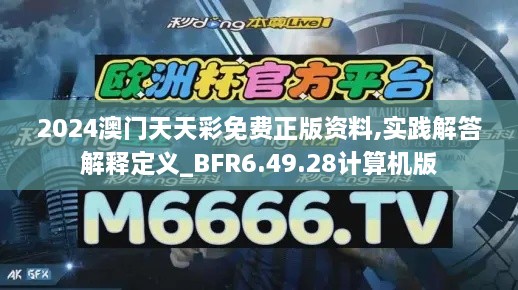 2024澳门天天彩免费正版资料,实践解答解释定义_BFR6.49.28计算机版