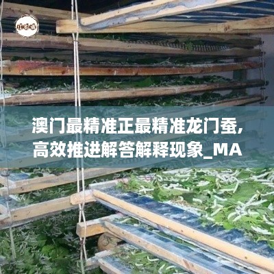 澳门最精准正最精准龙门蚕,高效推进解答解释现象_MAK4.36.48盒装版