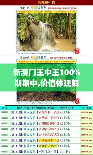 新澳门王中王100%期期中,价值体现解析落实_UNJ9.80.49多功能版