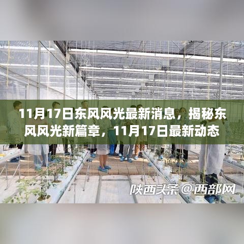 揭秘东风风光新篇章，最新动态与未来风采展望（日期标注）