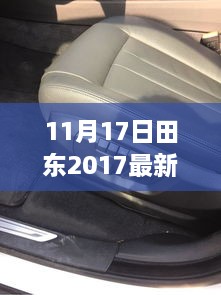 田东地区最新新闻报道（XXXX年11月17日更新）